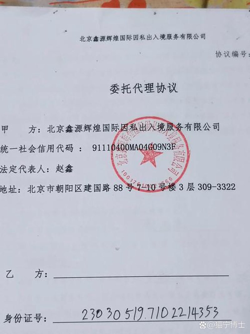 移民海外：了解最新趋势与咨询建议